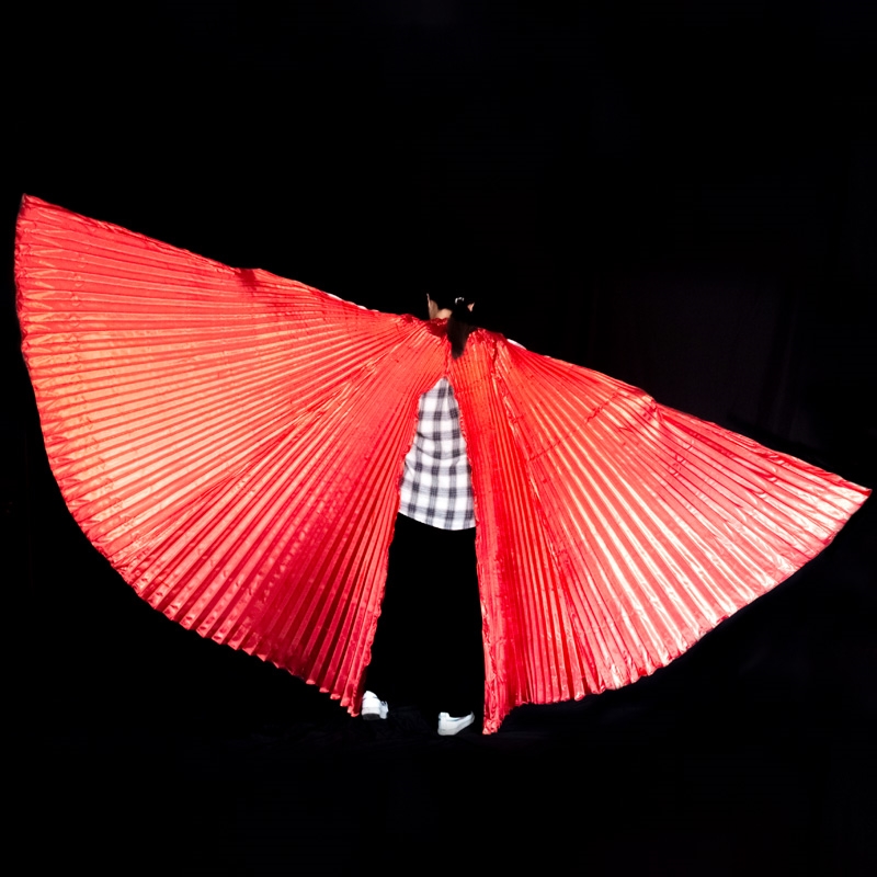 Skrzydła tańca brzucha skrzydł – Women Accessories In Egypt recenzja i cena
